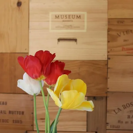 La Roulotte Viticole - Sauna - Toilette Seche *